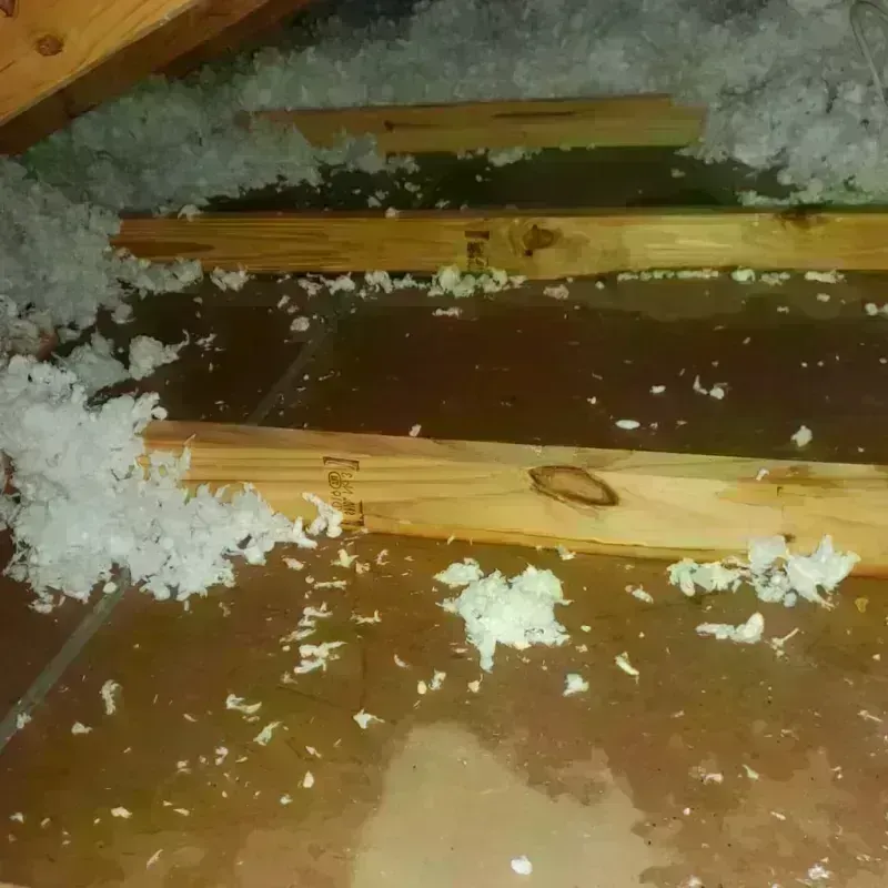 Attic Water Damage in Lexington, TN